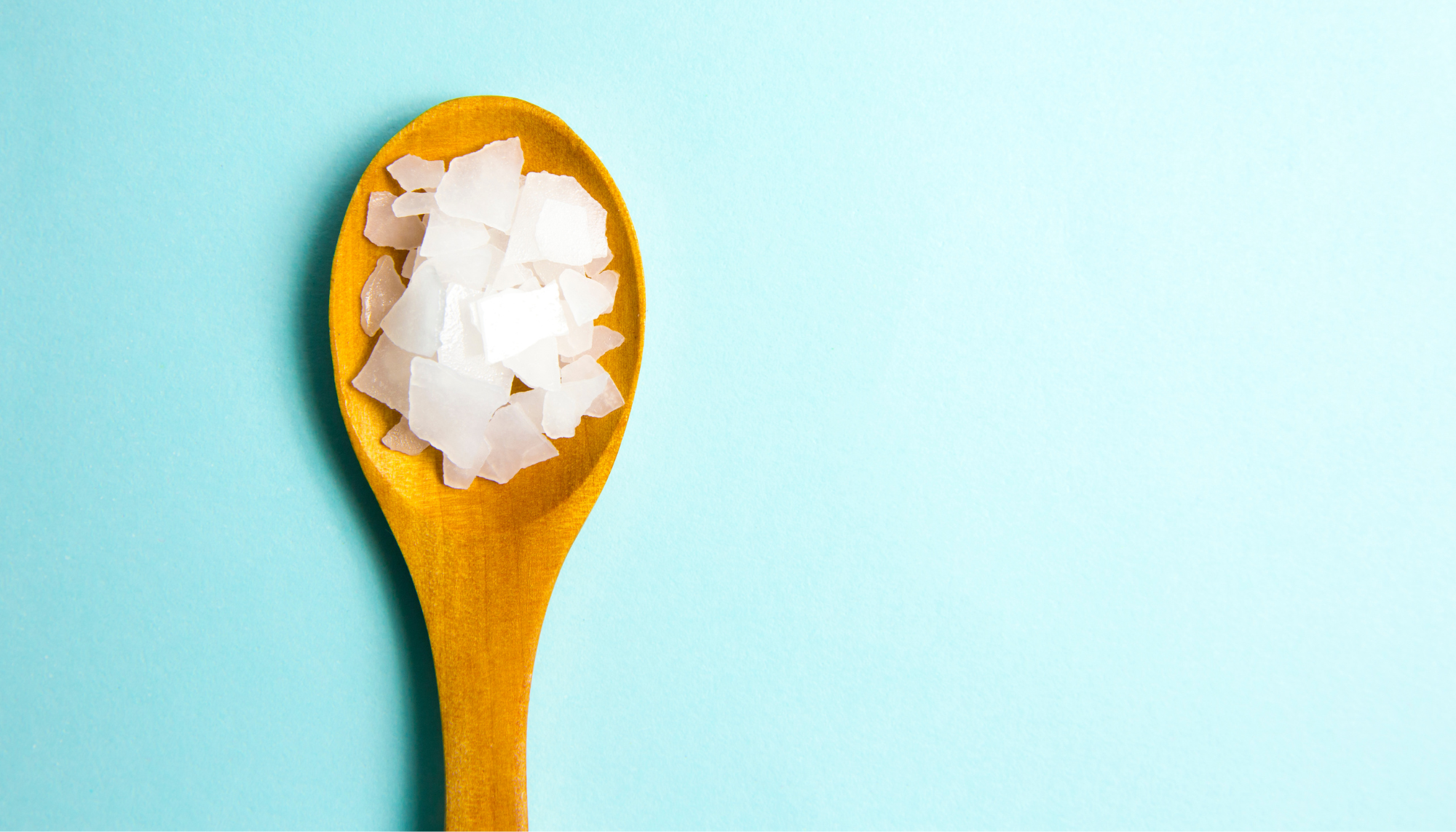 A Magnifying Glass on Magnesium