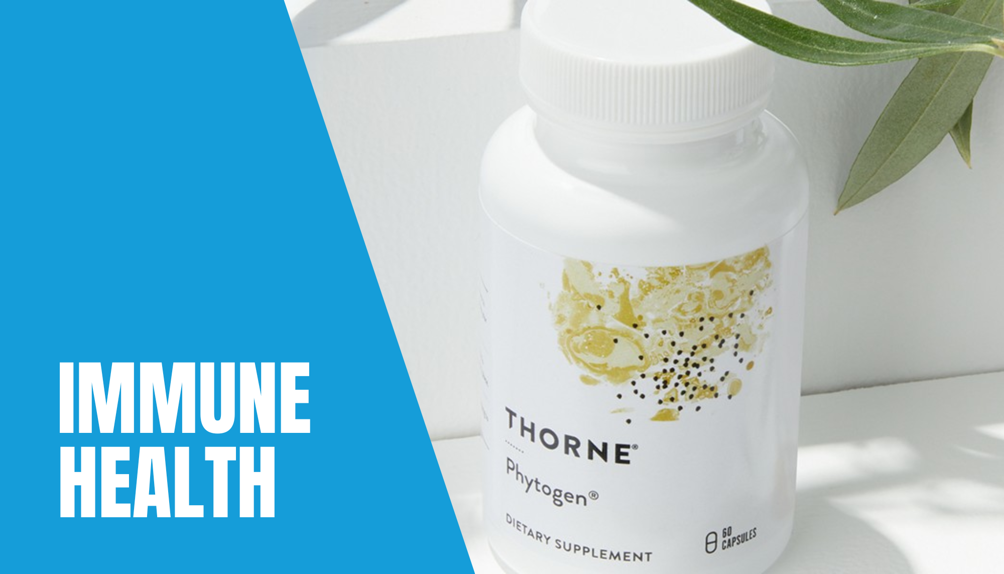 Double Down on Your Gut & Immune Health