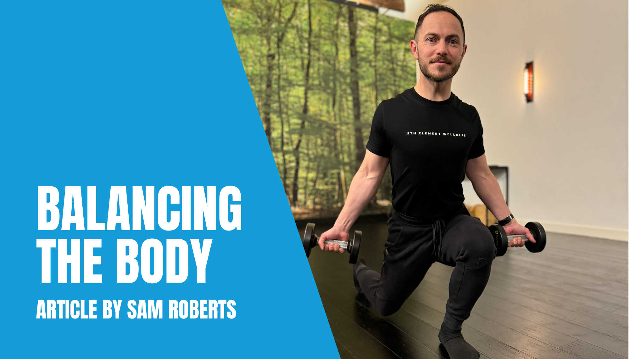 Balancing the Body: The Impact of Adaptogens on Stress and Inflammation