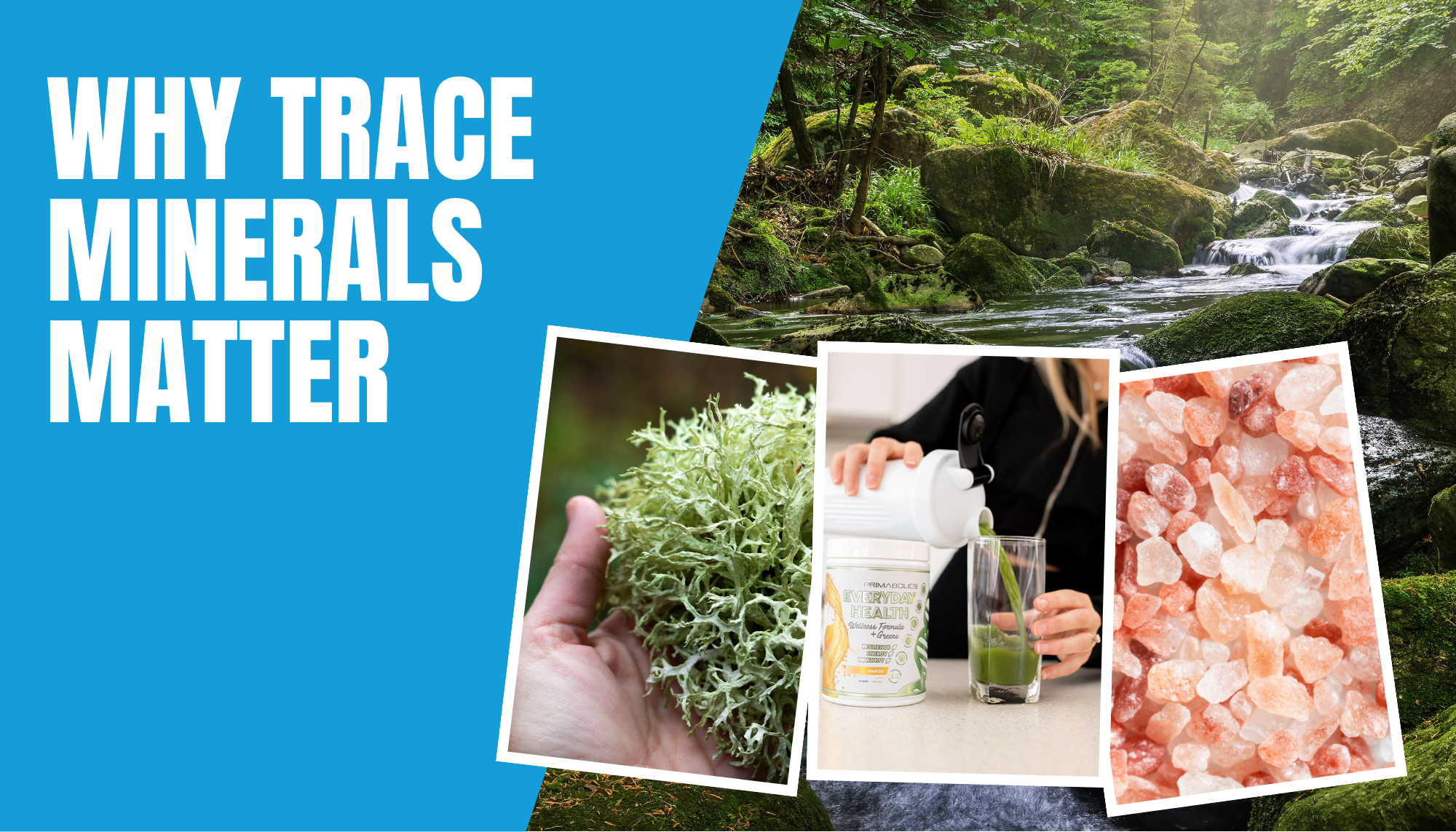 Why Trace Minerals Matter