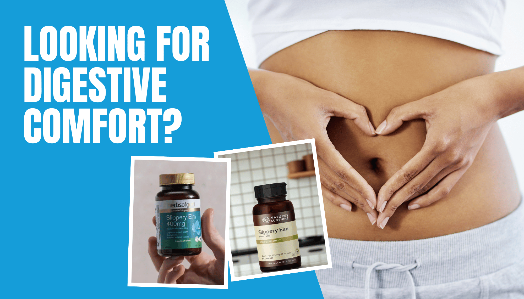 Gentle Support for Digestive Comfort