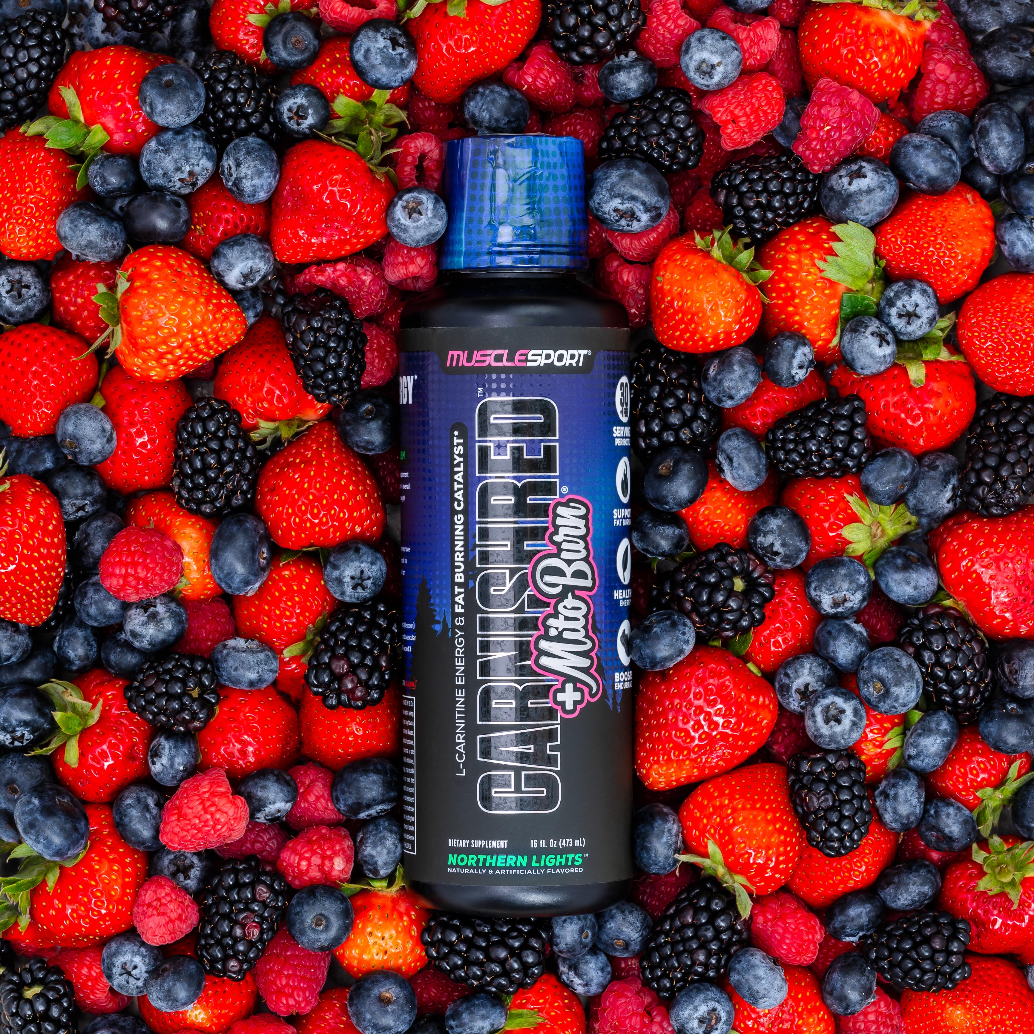 MuscleSport CarniShred + Mitoburn liquid fat burner bottle – stimulant-free formula with L-Carnitine and trademarked ingredients – Available in Australia with fast delivery.