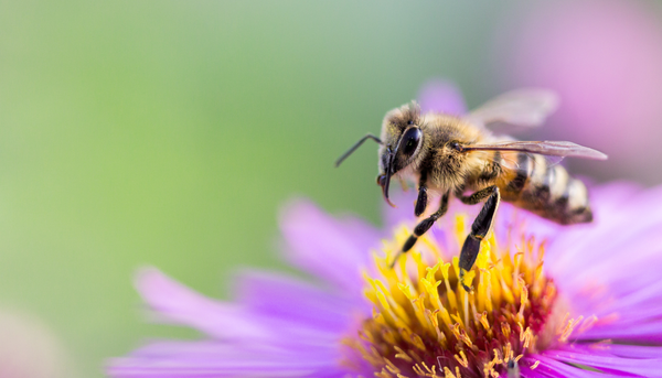 Spring Allergies Got You Down?