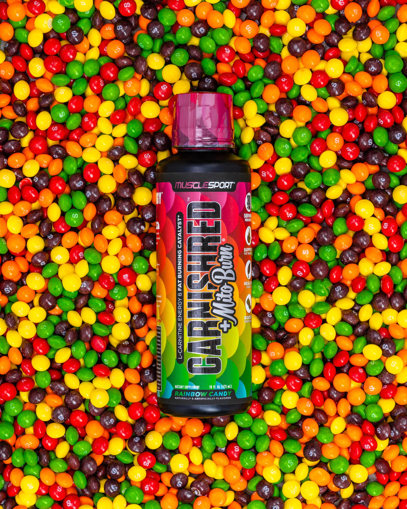 MuscleSport CarniShred + Mitoburn liquid fat burner bottle – stimulant-free formula with L-Carnitine and trademarked ingredients – Available in Australia with fast delivery.