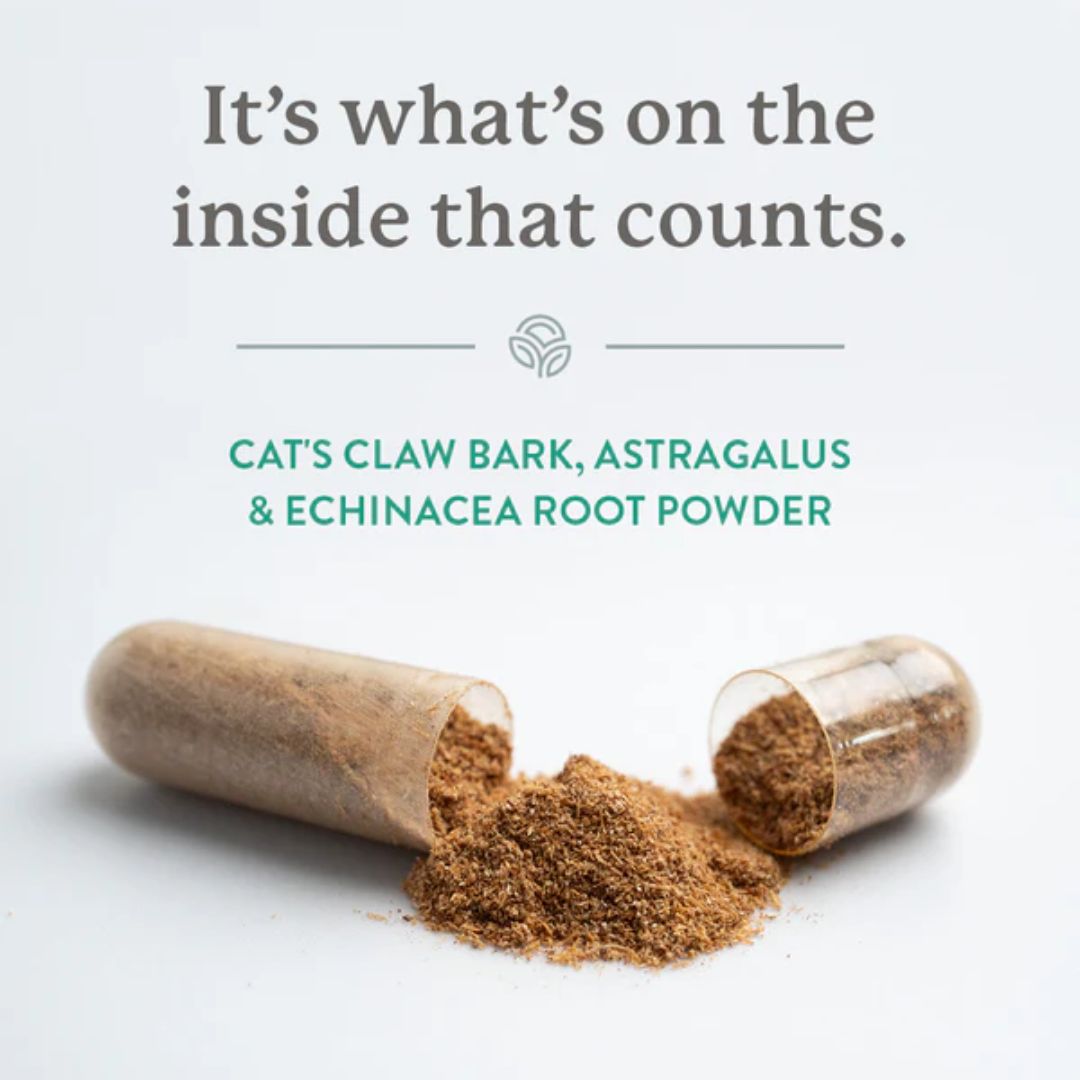 Natures Sunshine Cat's Claw Combination (Una de Gato)