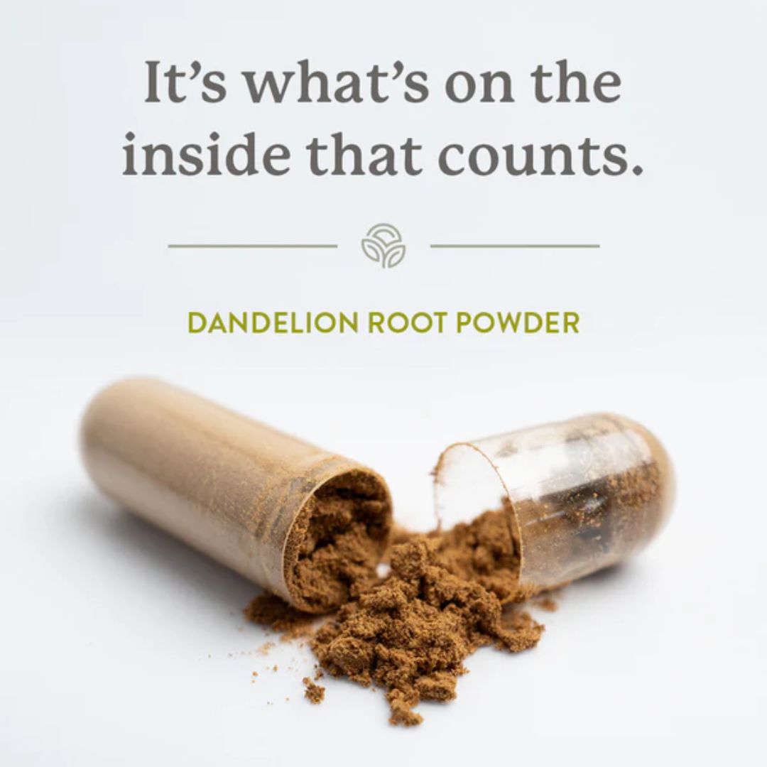 Natures Sunshine Dandelion