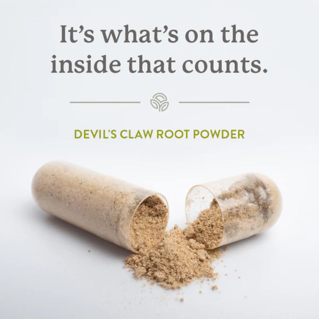 Natures Sunshine Devil's Claw
