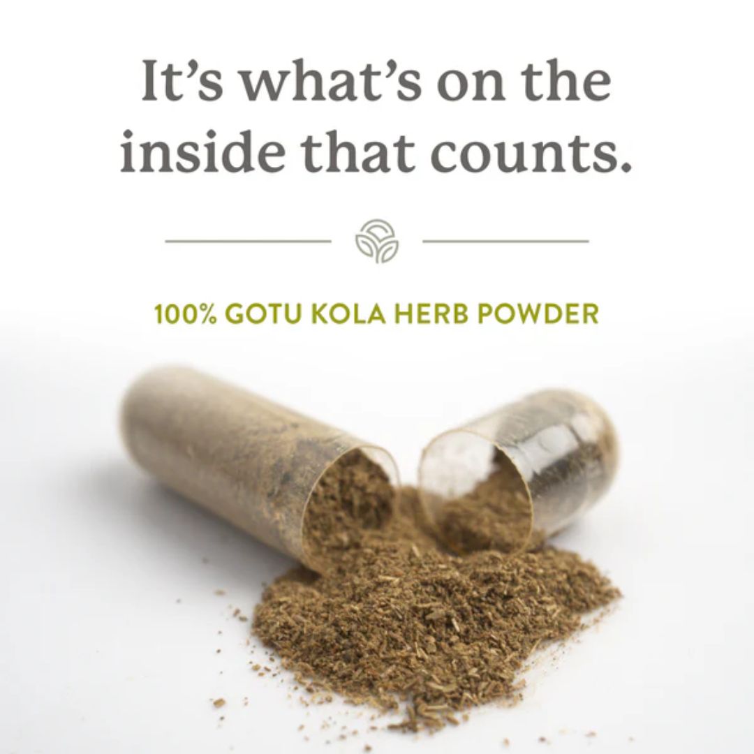 Natures Sunshine Gotu Kola