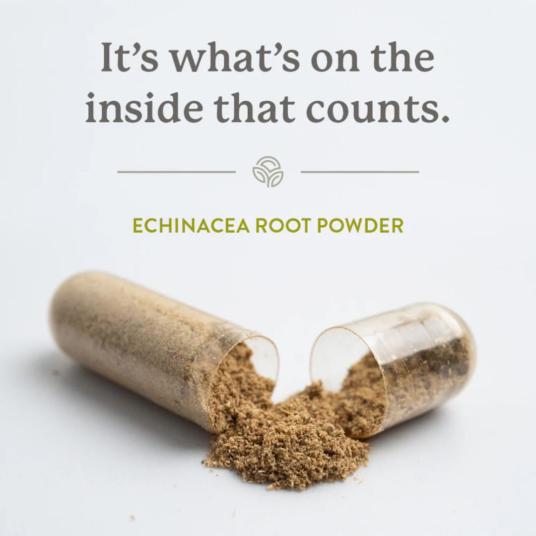 Natures Sunshine Echinacea