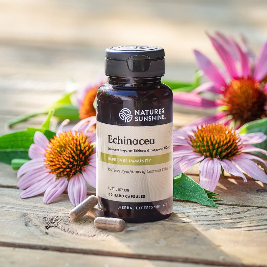 Natures Sunshine Echinacea