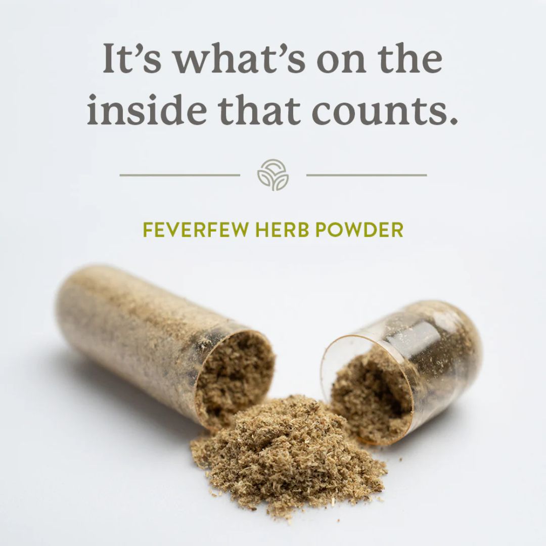 Natures Sunshine Feverfew