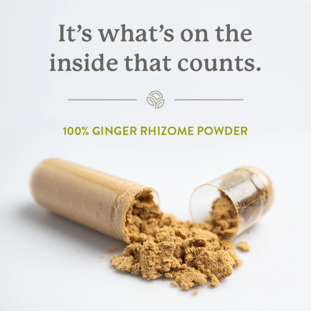 Natures Sunshine Ginger