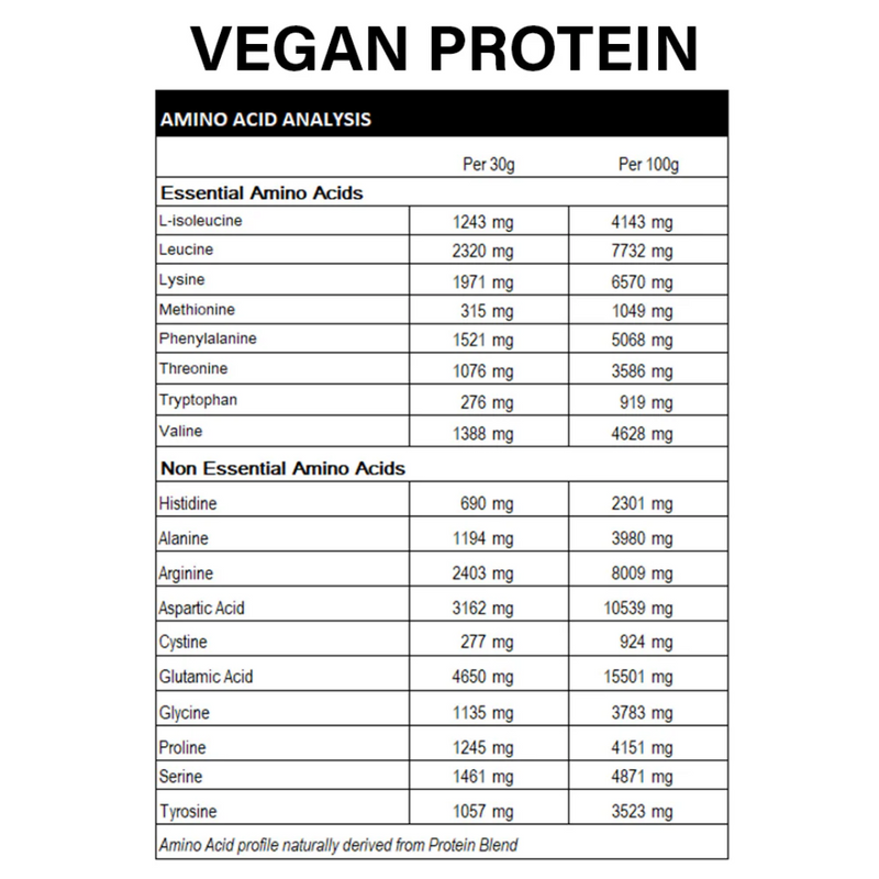 Rapid Vegan Plant Protein - Nutrition Capital