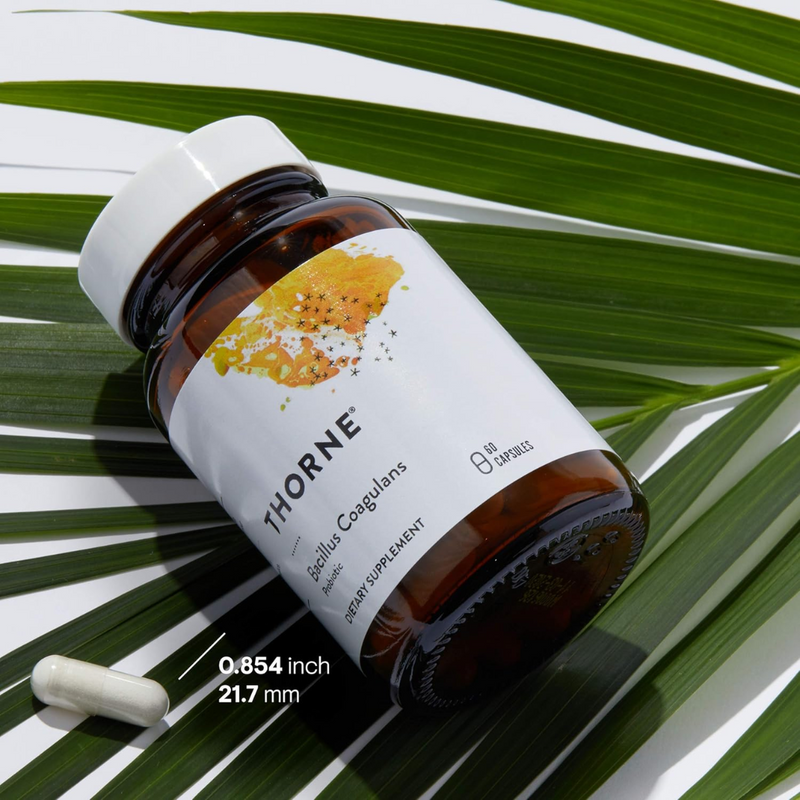 Thorne Bacillus Coagulans - Nutrition Capital