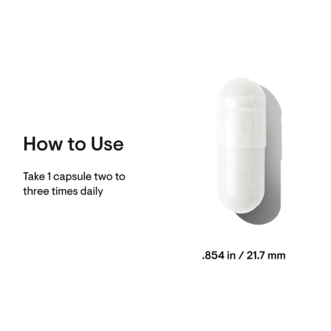 Thorne Bacillus Coagulans