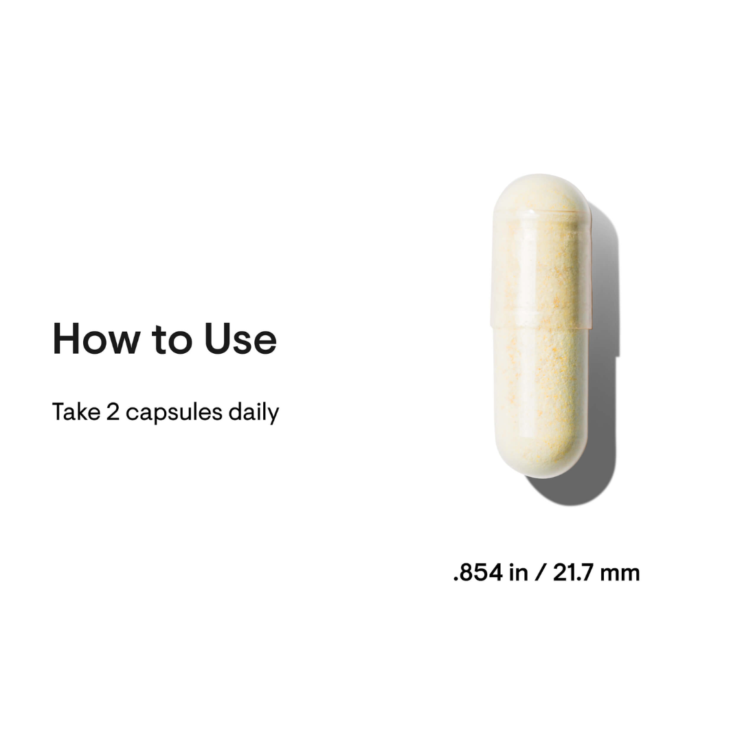 Thorne Basic Nutrients 2/day - Nutrition Capital