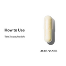 Thorne Basic Nutrients 2/day - Nutrition Capital