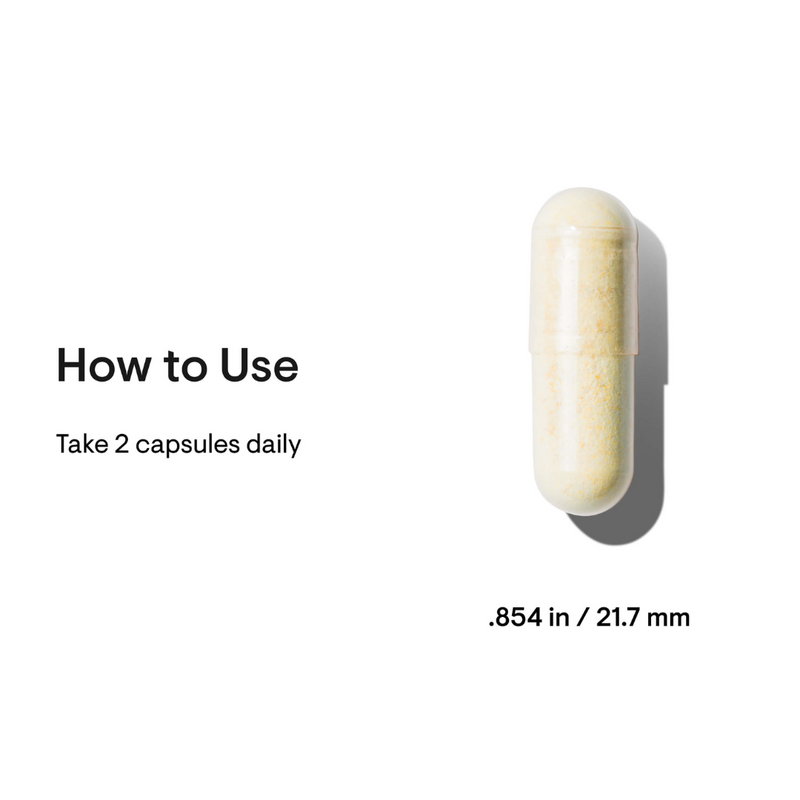 Thorne Basic Nutrients 2/day - Nutrition Capital
