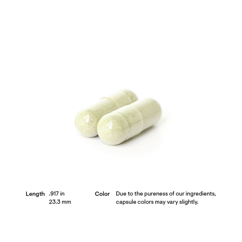 Thorne Boswellia Phytosome - Nutrition Capital