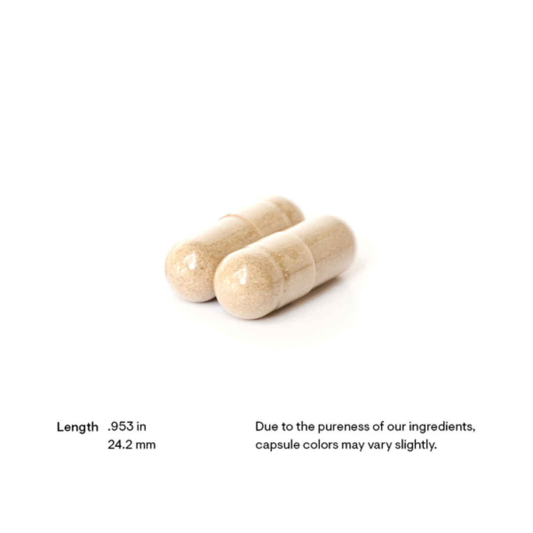Thorne Brain Factors