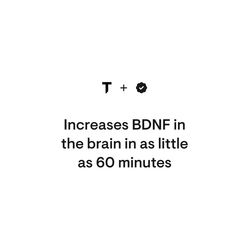 Thorne Brain Factors - Nutrition Capital