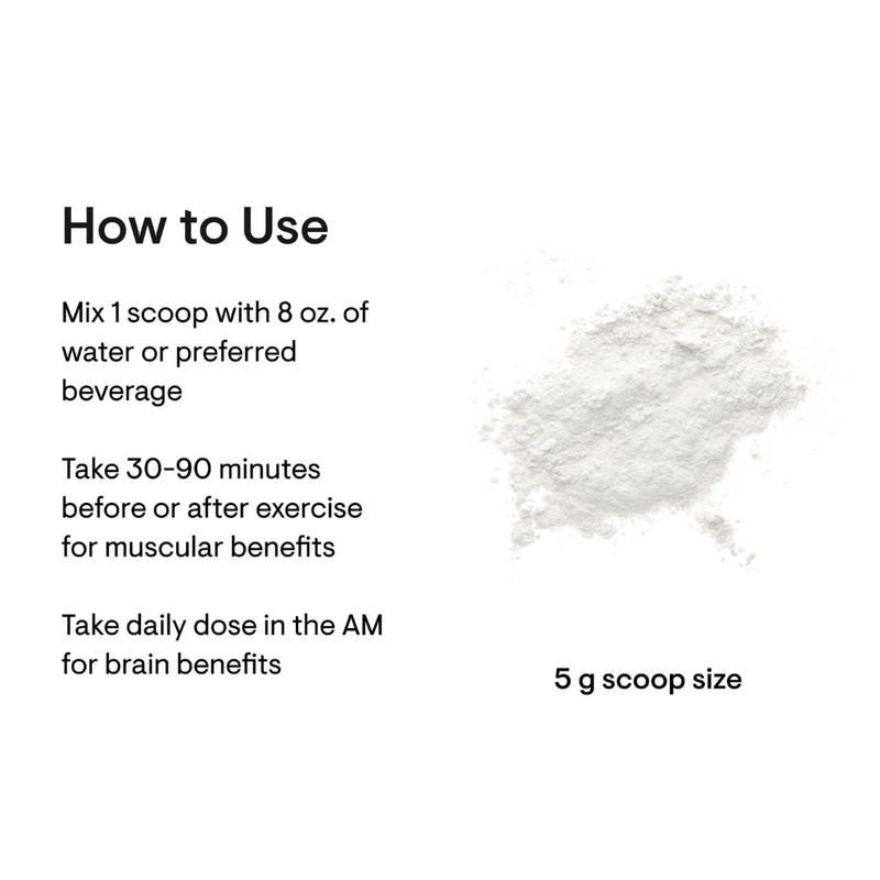 Thorne Creatine - Nutrition Capital