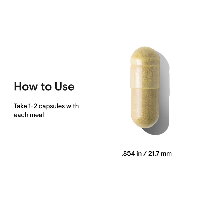 Thorne Pancreatic Enzymes - Nutrition Capital