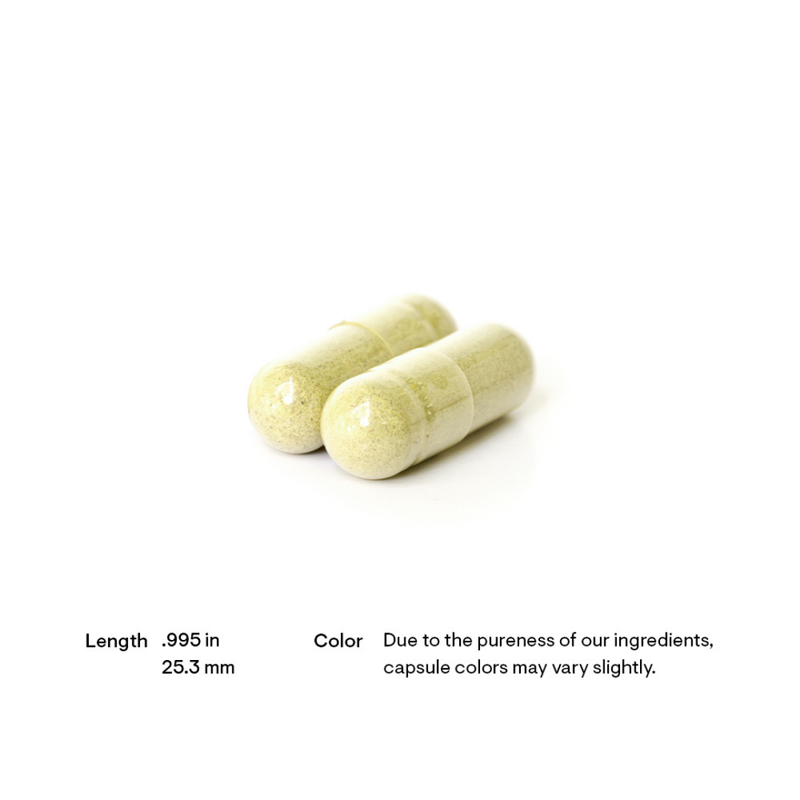 Thorne Phytoprofen - Nutrition Capital