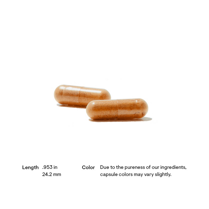 Thorne Red Yeast Rice + CoQ10 - Nutrition Capital