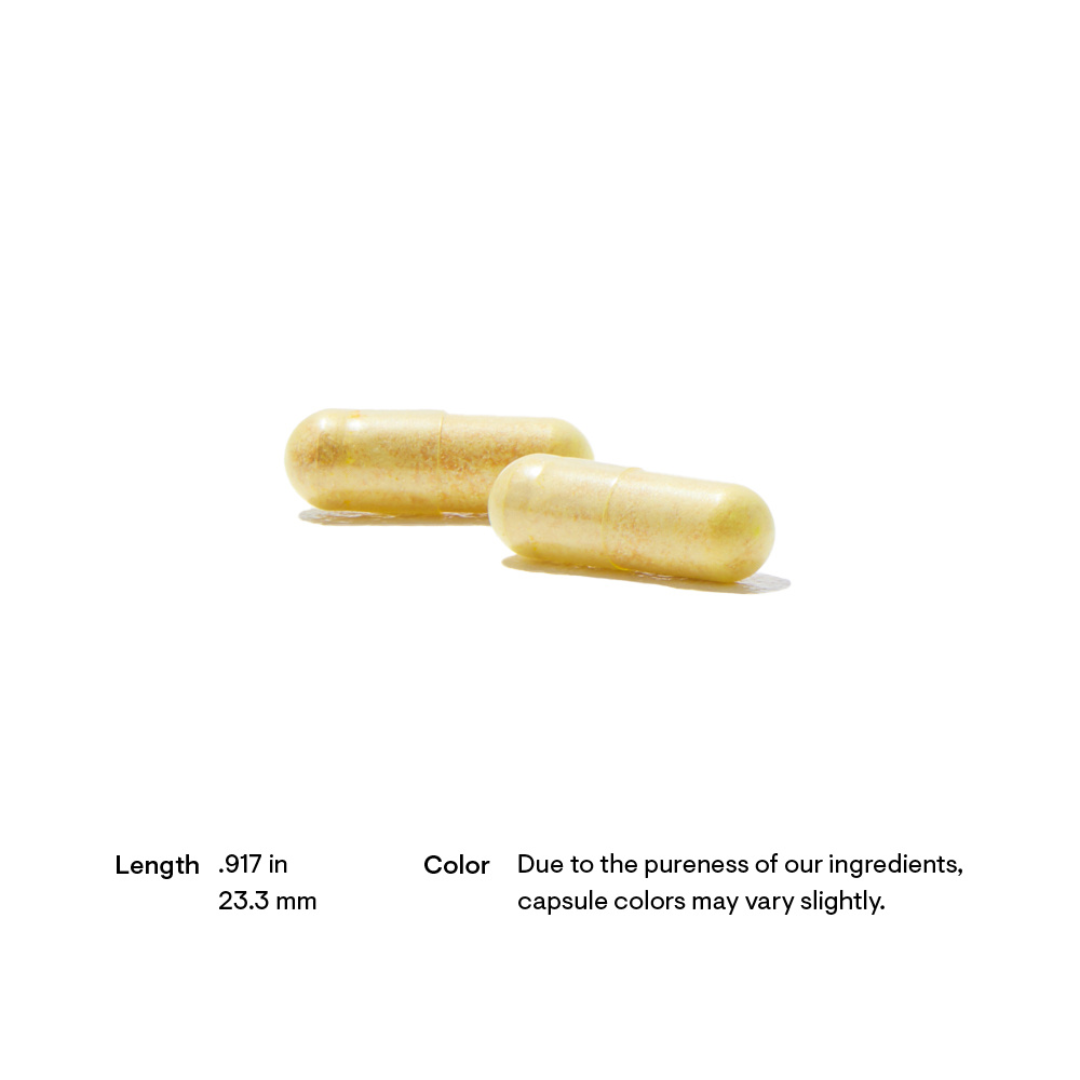 Thorne S.A.T - Nutrition Capital