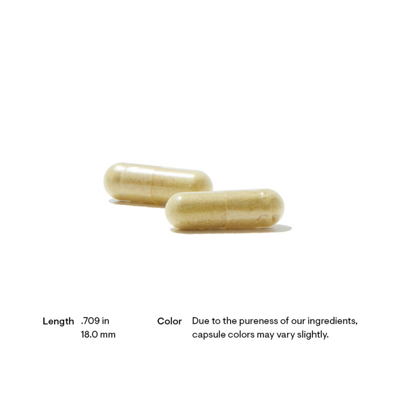 Thorne Sacro-B - Nutrition Capital